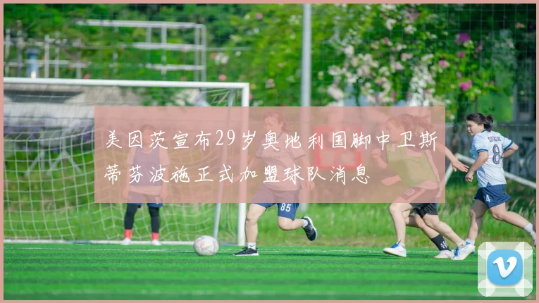 美因茨宣布29岁奥地利国脚中卫斯蒂芬波施正式加盟球队消息
